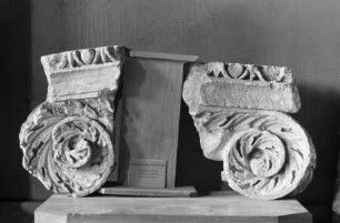 Volute