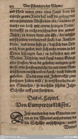 Das 16. Capitel. Von Lampertis Nüssen.