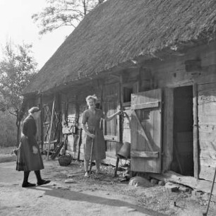 Strohgedecktes Blockhaus in Burg-Kauper. Frau Nowick in Spreewälder Alltagstracht vor ihrem Gehöft. : Ze słomu skryte kładźity twar statoka w Kupaŕskich Bórkowach. Knjeni Nowickowa we wšědnej Błótowskej drasće před swojim statokom.