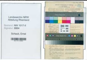Entnazifizierung Ernst Schaub , geb. 12.06.1894 (Hausmeister)