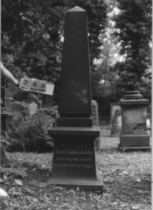 Grabstein 243 [Hahn S. 76 Grab-Nr. 890]