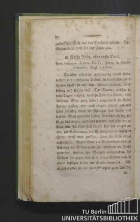 Rothe Rübe, oder rothe Beete. Beta vulgaris. Linn. Cl. V. Franz. la poirée beterave. Engl. the beet.