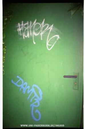 DAMiR