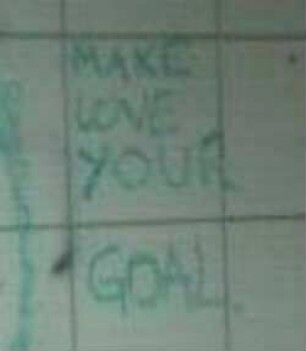 MAKE LOVE YOUR GOAL.