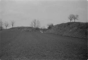 Schanze bei Niedergurig. Abschnittswall mit Pallisadenführung an der Wasserseite. : Hrodźišćo pola Delneje Hórki