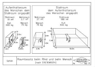 Raumbesatz beim Rind und beim Mensch (nach STIETENROTH)