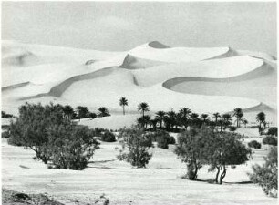 Dünen bei Quargla : Dünen in der algerischen Sahara nahe der Stadt Quargla.