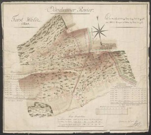 Odenheimer Revier. Forst-Wald 1800