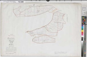 Hoppecke (Brilon), Waldteilung Hoppecke, Bl.1 Brouillonkarte