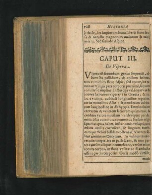 Caput III. De Vipera.