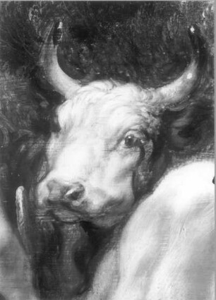 Merkur und Argus mit Viehherde und Hund, Ausschnitt: Kopf einer Kuh