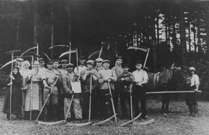Gegenseitige Hilfe der Kleinbauern im Erzgebirge - Getreidemahd mit der Wurfsense : Gegenseitige Hilfe der Kleinbauern im Erzgebirge