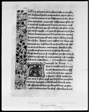 Triomphes des Petrarca — Initiale A und Teilbordüre