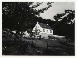 Haus Schlemmer, Heidelberg-Ziegelhausen: Ansicht vom Tal