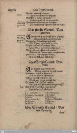 Das Sechst Capitel/Vom Saltz.