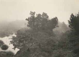 Nebeltreiben im Georgenfelder Hochmoor bei Zinnwald-Georgenfeld