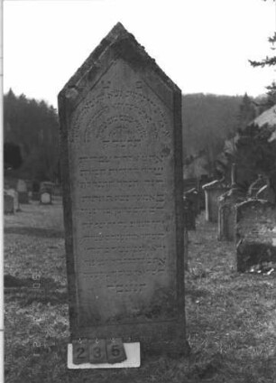 Grabstein 235 (Index: 100009174) Maße HxBxT: 166x57x9 cm: Grabstein 235