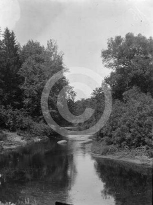 Flusslandschaft Lettin