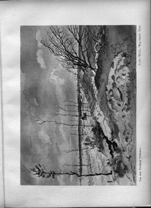 Frido Witte, Weg durch`s Moor