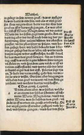 Das .xxviii. Capittel.