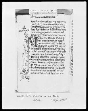 Psalterium cum Canticis — Initiale M mit Randausläufer, Folio 3/verso