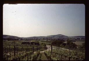 Blick auf Jechtingen