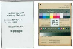 Entnazifizierung Paul Neugebauer , geb. 04.03.1906 (Apothekenbesitzer)