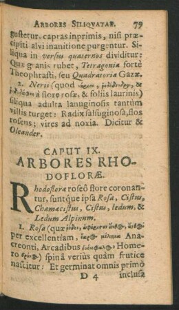 Caput IX. Arbores Rhodoflorae.