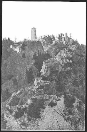 Brunnersdorf. Burgruine Hassenstein