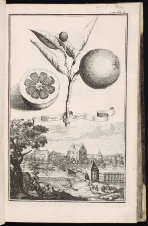 p. 188a Hummelstein. - Herrensitz Hummelstein, Nürnberg-Gibitzenhof