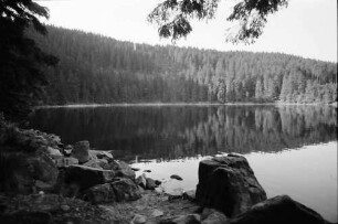 Mummelsee: Rund um den See; Seeufer, Vordergrund Felsbrocken