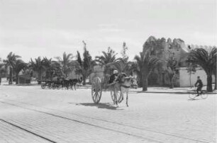 Reisefotos Marokko. Straßenbild mit Pferdekarren (wahrscheinlich in Casablanca)