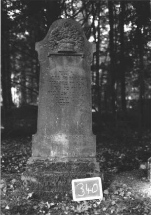 Grabstein 340 (Index: 99895729) Material: Sandstein Zustand: gut Maße HxBxT: 171x53x21 cm Beschreibung: Stele mit eingezogenem, überkragendem Bogenabschluss; Sockel Symbolik: Blumenkorb: Grabstein 340 (1)