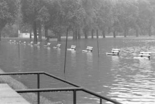 Hochwasser von Rhein und Alb