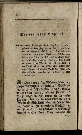 Dreyzehntes Capitel.
