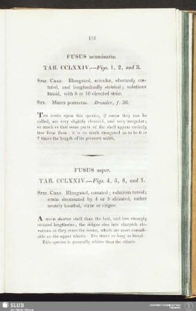 Fusus asper. Tab. CCLXXIV. --- Figs. 4, 5, 6, and 7
