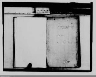 . Haltung von Grafentagen: Friedberg