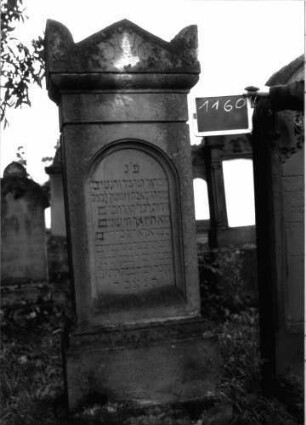 Grabstein 1160 (Index: 100104284) Material: Sandstein Zustand: etwas angewittert Maße HxBxT: 178x50x23 cm Beschreibung: Stele auf getrepptem Sockel, Giebelaufsatz mit Eckakroterien, eingeritzte Voluten, Ranken und Blüte, eingetieftes Schriftfeld mit Rundbogenabschluss, Schrift wurde mit Farbe nachgezogen (nur noch Reste erkennbar) Symbolik: Voluten, Ranken, Blüte: Grabstein 1160