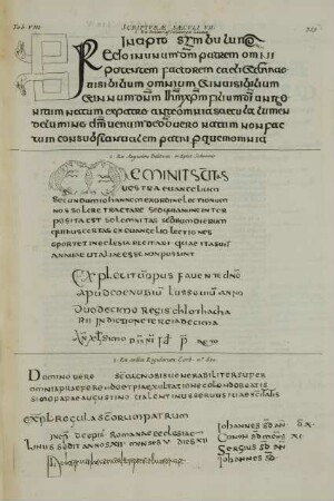 Tab. VIII. Scripturae Saeculi VII.