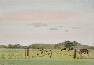 Kühe auf der Koppel (Cholera-Berge)