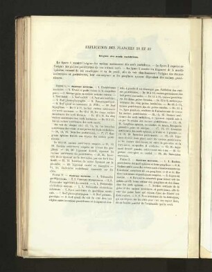 Pl. 38 et 39.