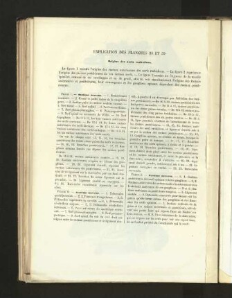 Pl. 38 et 39.