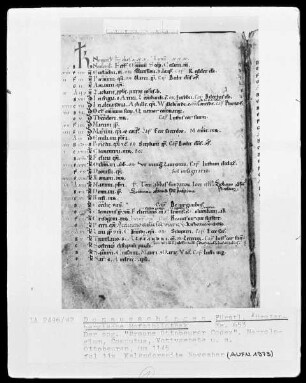 Hs. 653 & Braune Ottobeurer Codex & Necrologium Computus & fol 11v