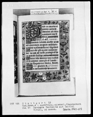 Stundenbuch — Initiale D (eus) und Vollbordüre, Folio 61recto