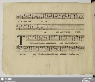XXXI. Anonymus: Tu es Petrus (Ad aequales)