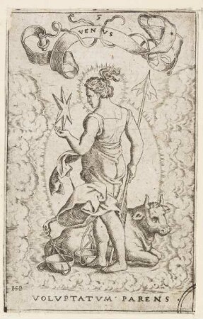Venus