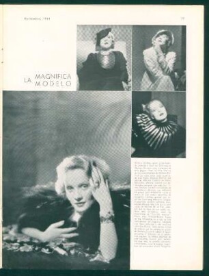 La magnífica modelo