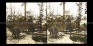 Abgedecktes Geschütz im Wald