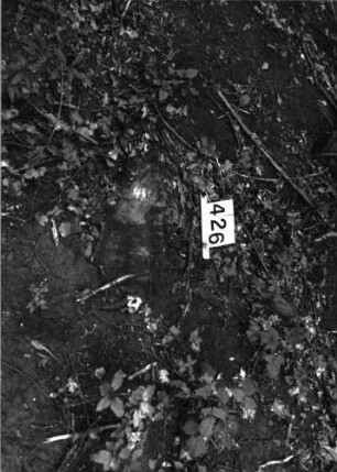 Grabstein 426 (Index: 99897486) Beschreibung: Fragment: Grabstein 426