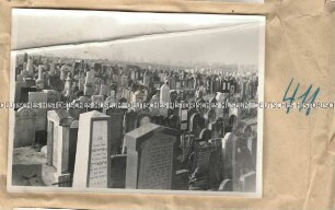 Jüdischer Friedhof